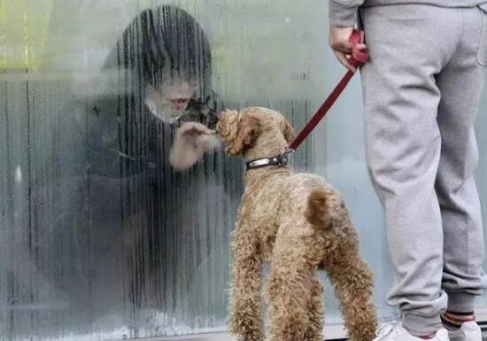 福岛核泄漏后变异女人