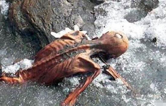 十大最邪门古墓