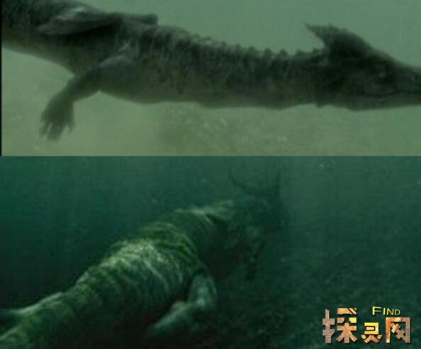 青海湖灵异事件