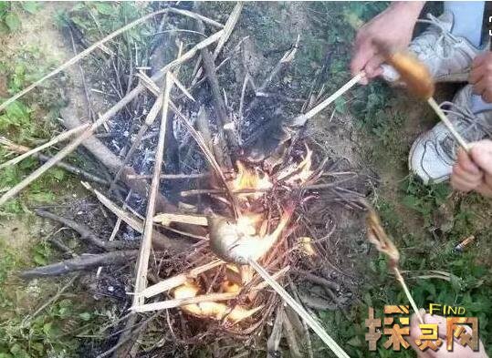 茂名露天矿灵异事件