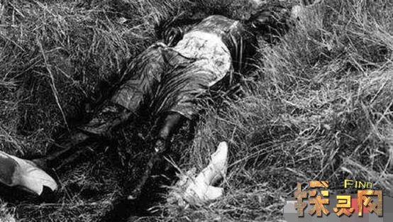 安德烈奇卡提罗