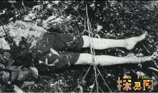 安德烈奇卡提罗