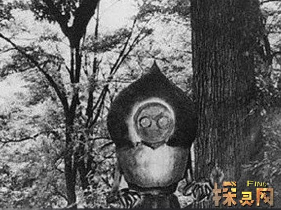 弗拉特伍兹怪物