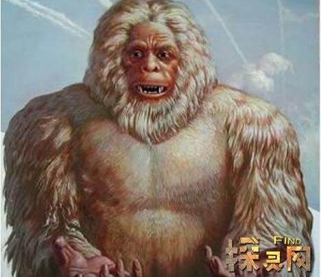 喜马拉雅山雪人