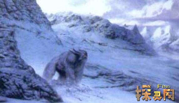 喜马拉雅山雪人