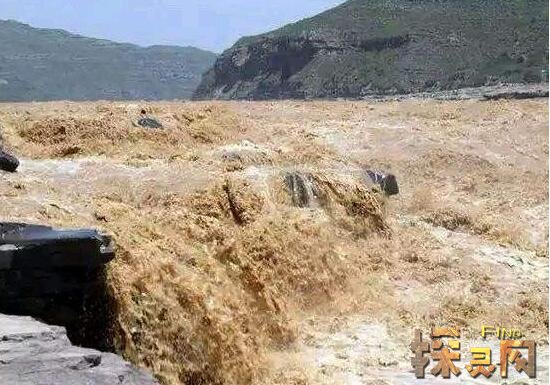 黄河鬼棺事件真相