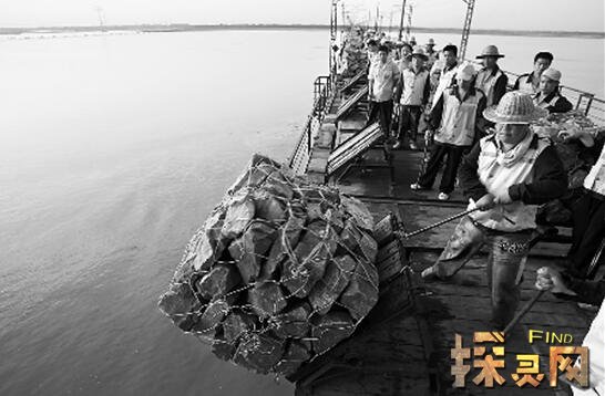 黄河鬼棺事件真相