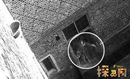 人类首次拍到魔鬼