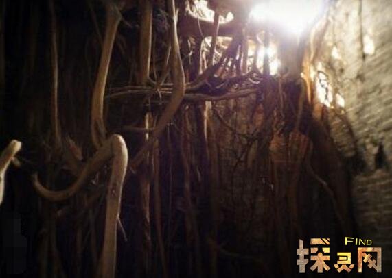 中国最恐怖的无人村