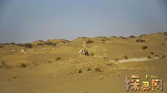 部队封锁的神秘事件