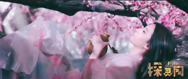 1999年被贬下凡的神仙