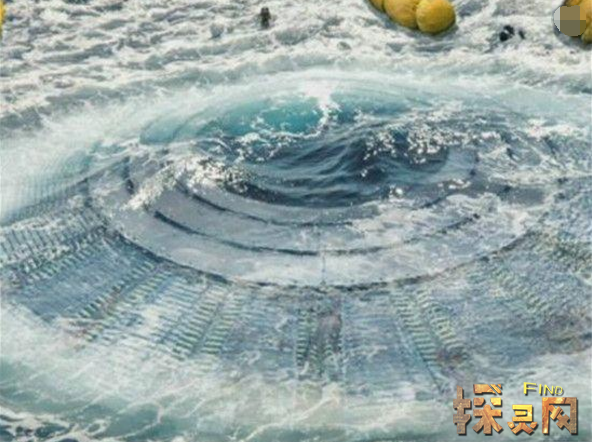 南极卫星拍到地下城市